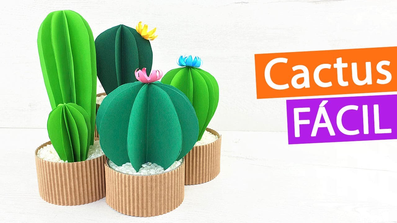 cactus originales para regalar