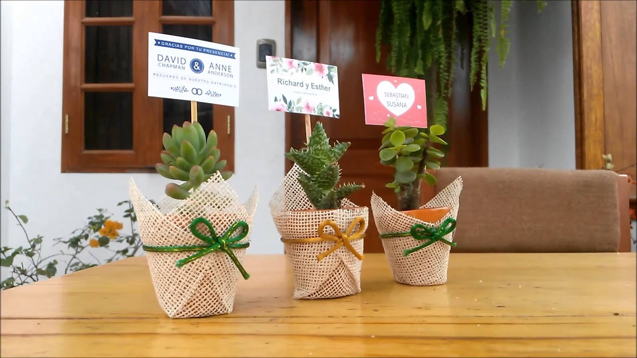 cactus para regalar en comuniones