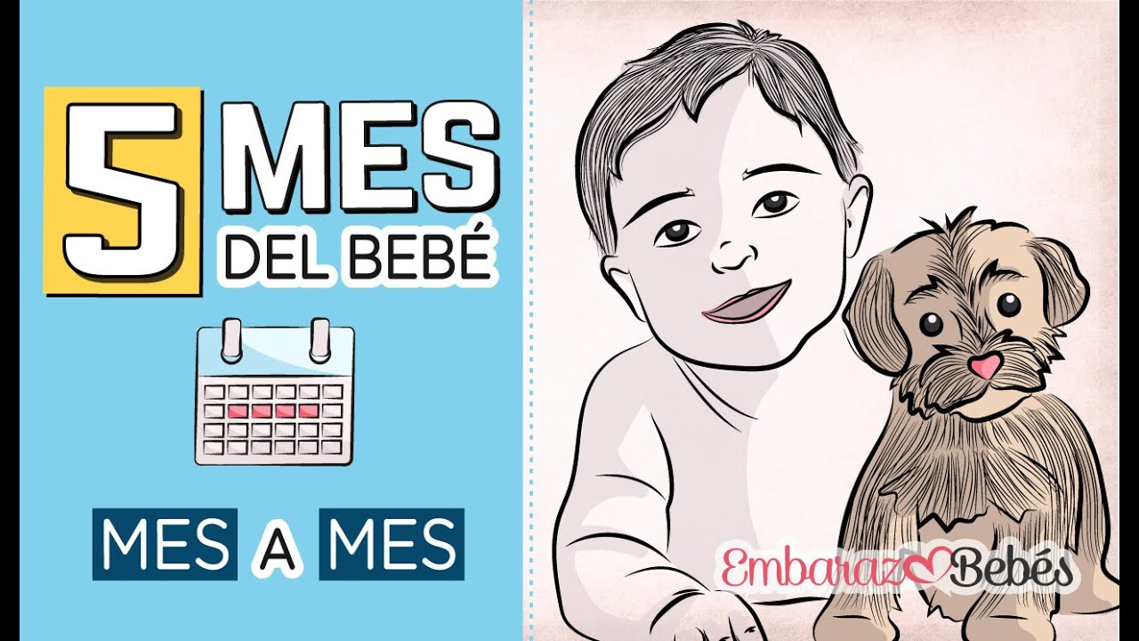 que regalar a un bebe de 5 meses