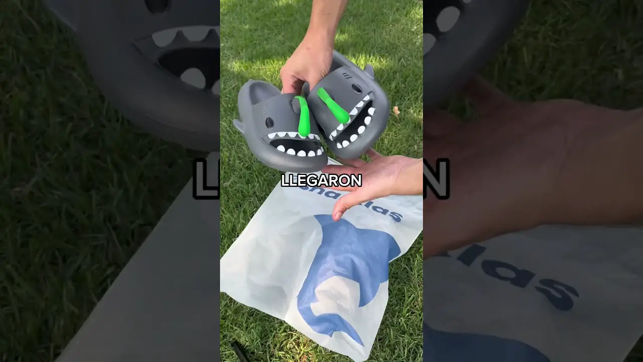 regalos de tiburon