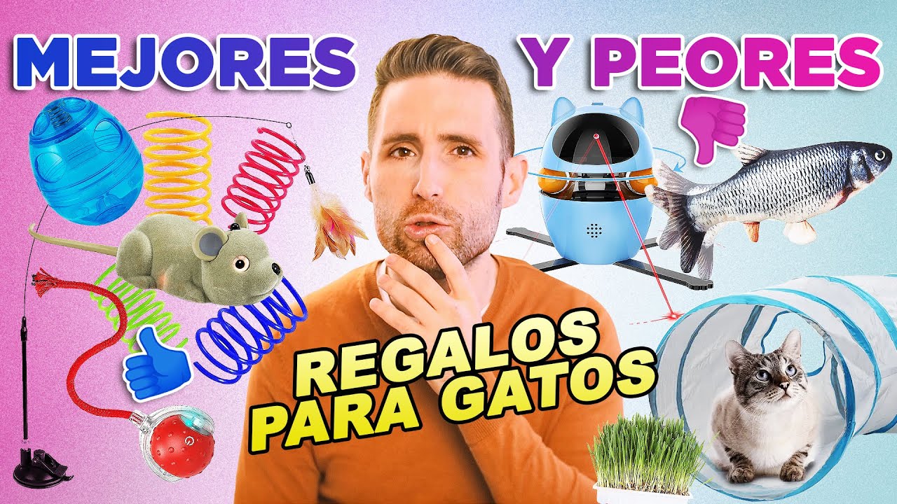 regalos para amantes de gatos