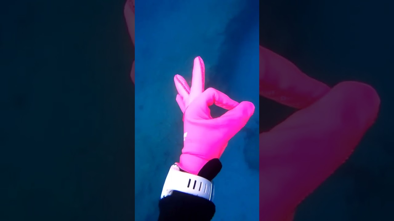 regalos para buceadores