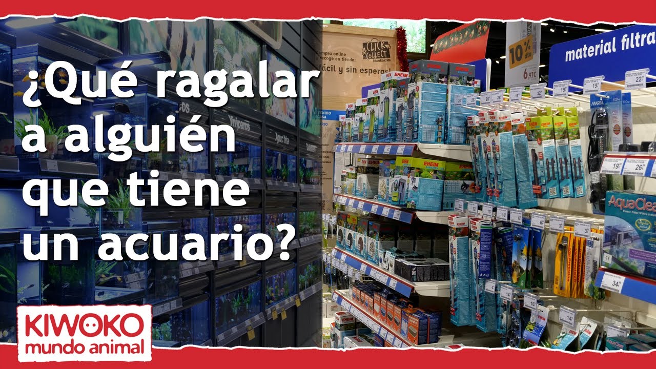 regalos para submarinistas