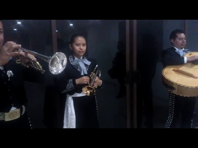 regalos para trompetistas